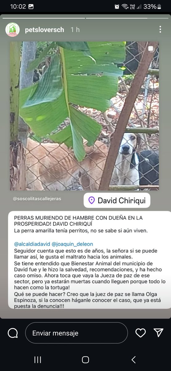 Milagros VS  (@kimesin22) on Twitter photo 