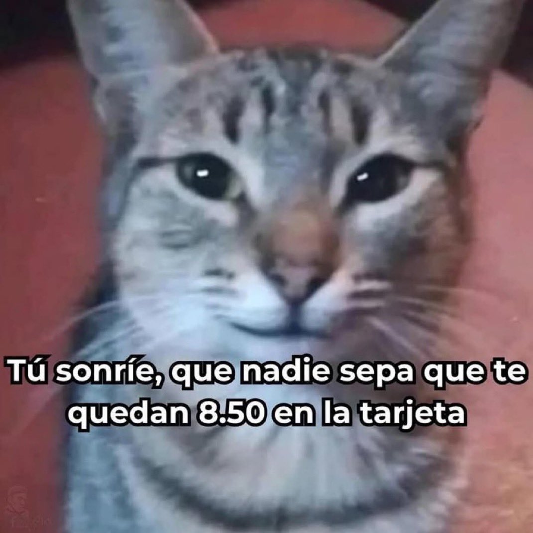 skereunpesado's tweet photo. https://t.co/fSTekSGoZA