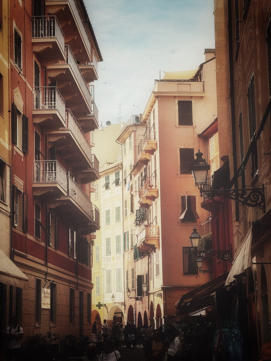 Glimpses of Culture 🏛️ tweet media