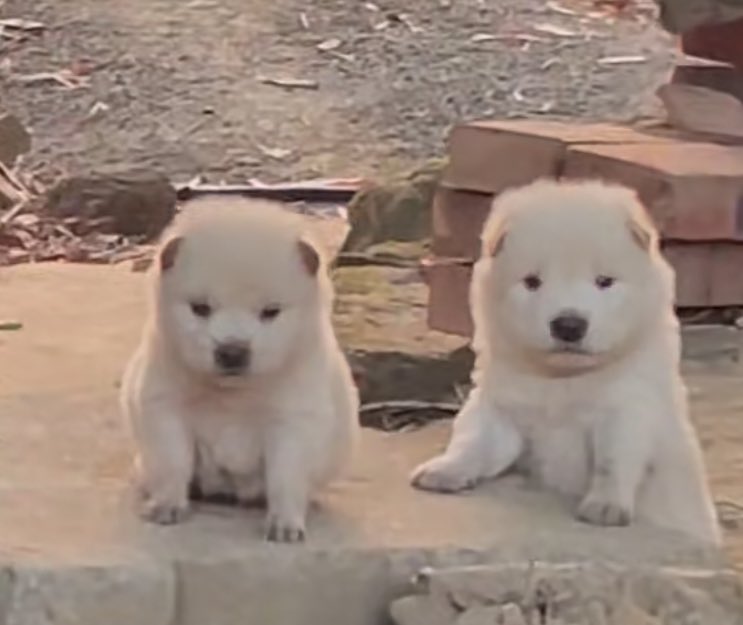 เราดูน่าอมหรือป่าวน่ะเพื่อน