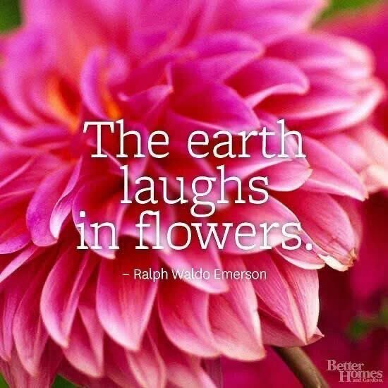 AuriellaSkye's tweet photo. #auriellaskye #saturdayquotes #springtime https://t.co/ieGTzqZoKd