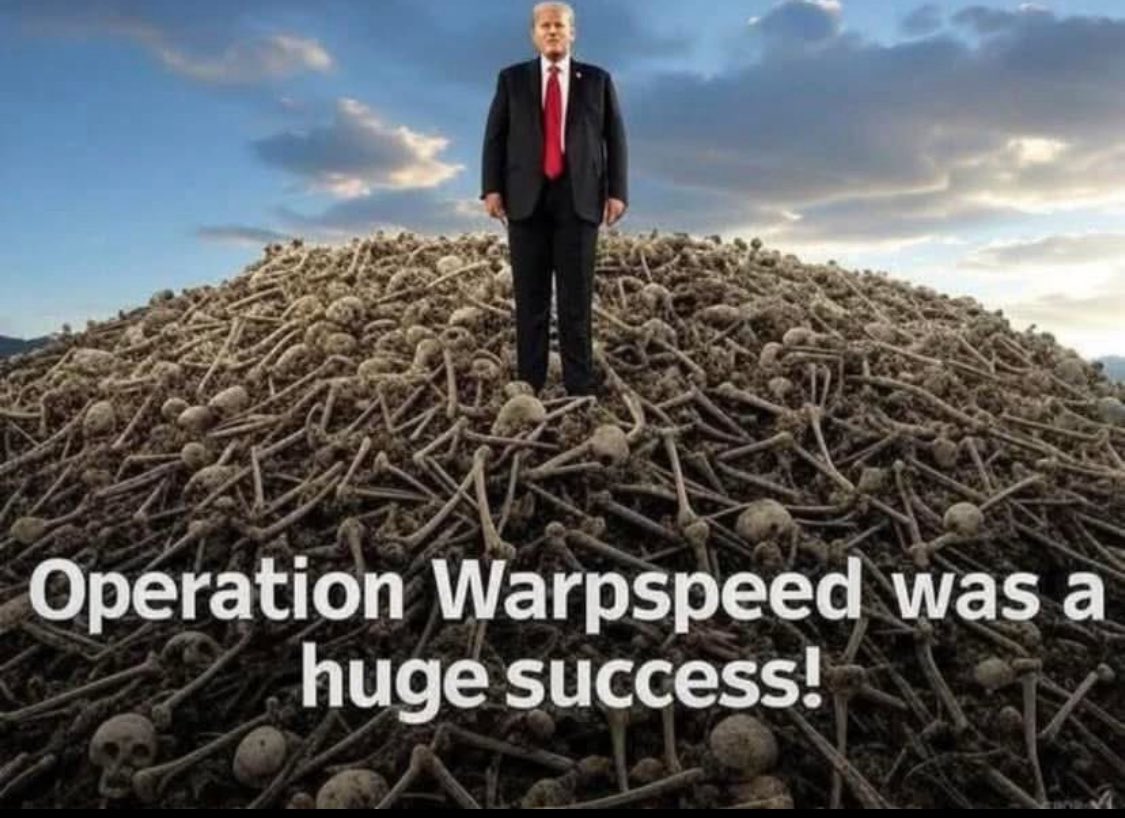 Luke Storey tweet media