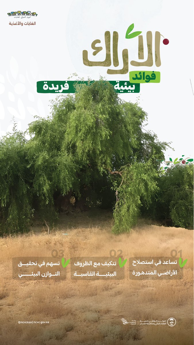 في #اليوم_الدولي_للغابات ..

نتذكر أهمية شجرة الأراك، إحدى أهم الأشجار في غابات المملكة، باعتبارها نظامًا بيئيًا متكاملًا.

#الأراك_صحة_وغذاء