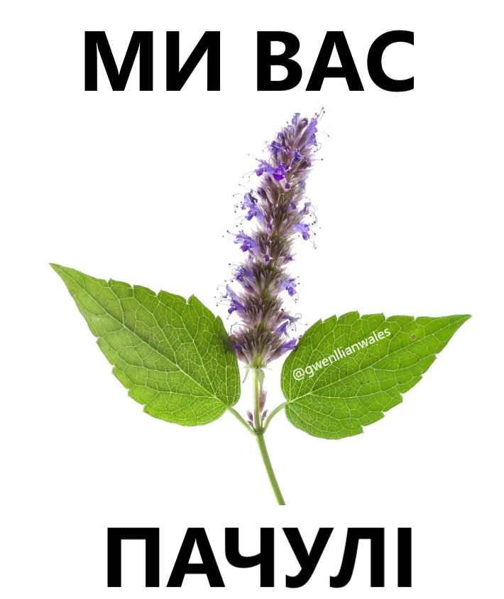 gwenllianwales's tweet photo. Я, коли бачу надпис: "олія  пачулі" https://t.co/zyl54mww4J