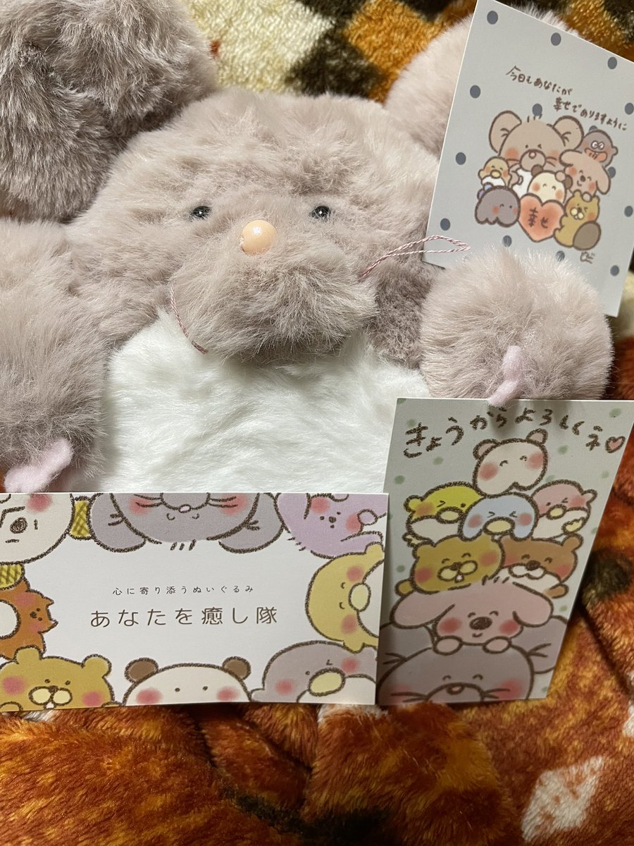 kimidoritea's tweet photo. 今日友達と、てづバ行ってきて
その時に目が合って一目惚れした
あなたを癒し隊@iyashitai2020 さんのチンチラちゃん✨
「日々に疲れている貴方に癒しと幸せを」って言う素敵すぎるコンセプト通りで触り心地最高でホンマにずっと撫でてる…癒し…
何付けても可愛いし我が家のシロクマ先輩とも仲良し笑 https://t.co/08xR8RdLKr