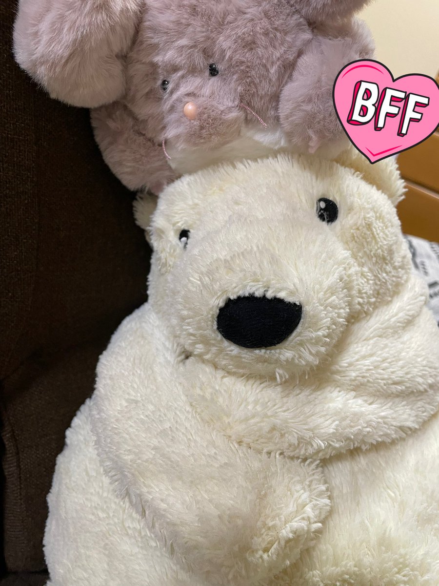 kimidoritea's tweet photo. 今日友達と、てづバ行ってきて
その時に目が合って一目惚れした
あなたを癒し隊@iyashitai2020 さんのチンチラちゃん✨
「日々に疲れている貴方に癒しと幸せを」って言う素敵すぎるコンセプト通りで触り心地最高でホンマにずっと撫でてる…癒し…
何付けても可愛いし我が家のシロクマ先輩とも仲良し笑 https://t.co/08xR8RdLKr