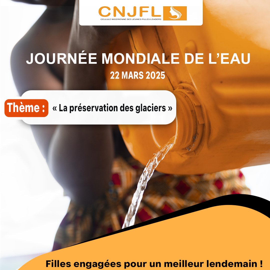 💧 #22Mars2025 | #JournéeMondialeDeLEau 🌍
Les glaciers, plus grandes réserves d’eau douce, fondent à cause du réchauffement climatique , menaçant l’accès à l’eau potable.

À la CNJFL, via la Commission Environnement, nous agissons pour un Niger plus vert et plus résilient !