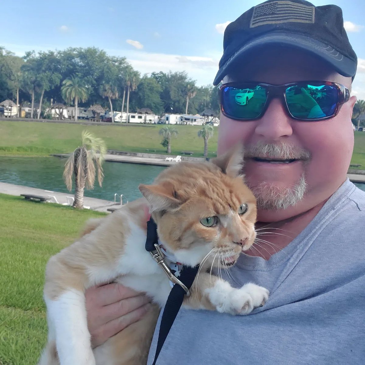 Roby Head (@robyhead222) on Twitter photo 