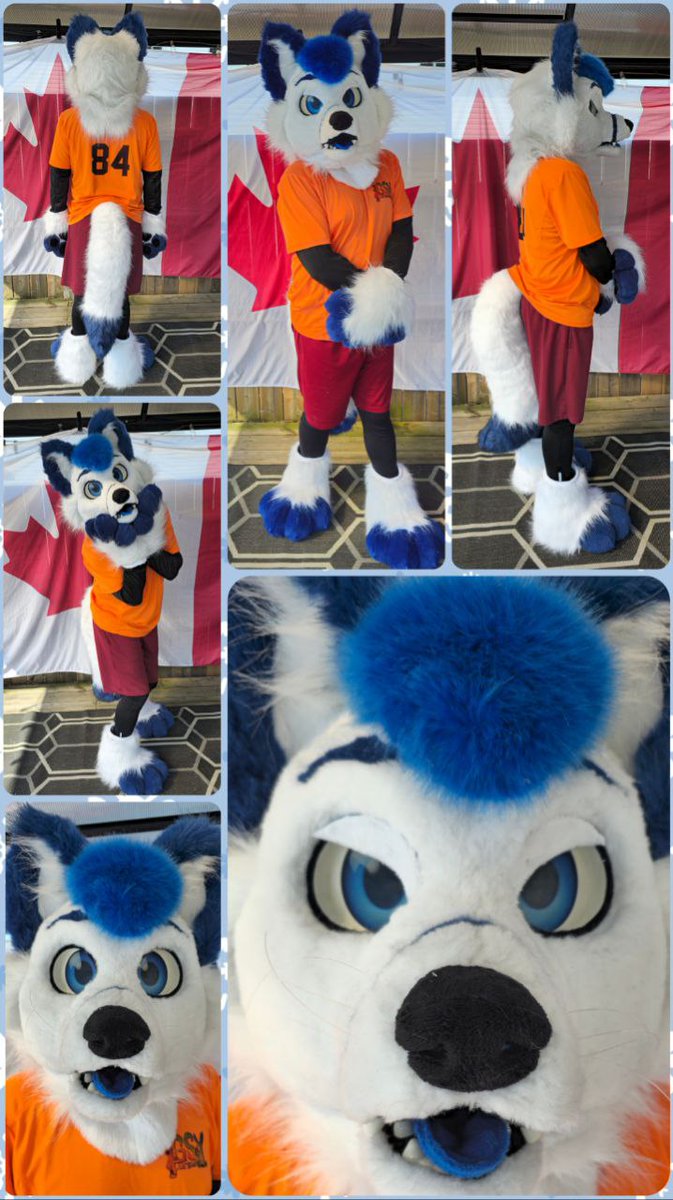 Fursuits are still available to buy at <a href="/FurnalEquinox/">Furnal Equinox</a> 
They are looking for a happy forever home 🐾 

#FurnalEquinox2025