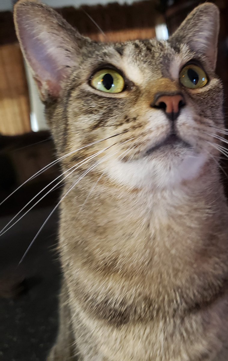 Roby Head (@robyhead222) on Twitter photo 