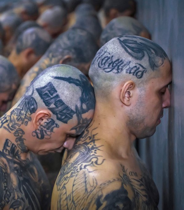 BisouCaramel_'s tweet image. Violadores en Violadores en
El Salvador. / México.
