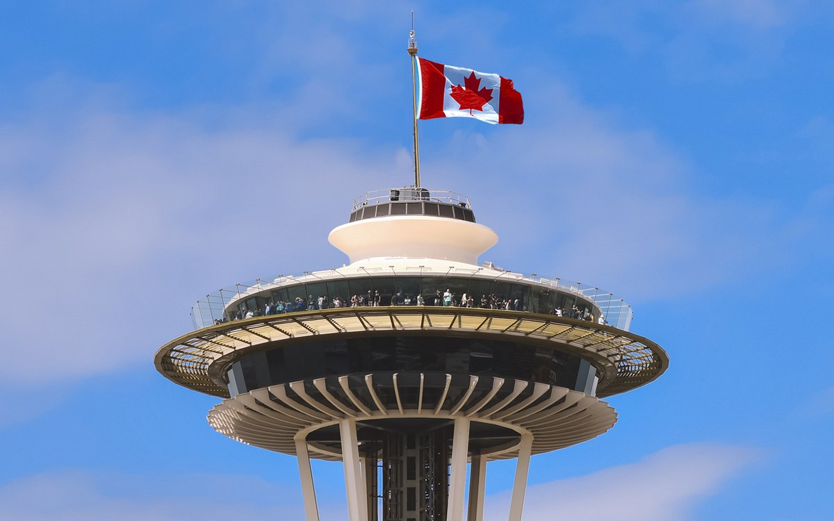 The Needling tweet media