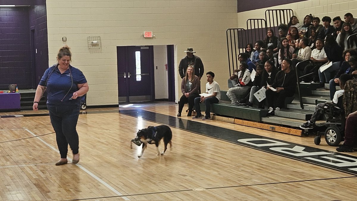 shuff13's tweet image. BCS students learn about the importance of service dogs for individuals with disabilities! Dogs can help keep individuals with disabilities independent and living healthy active lives. @BhamCitySchools @prwill1052 @NCHPAD @DrMarkSullivan