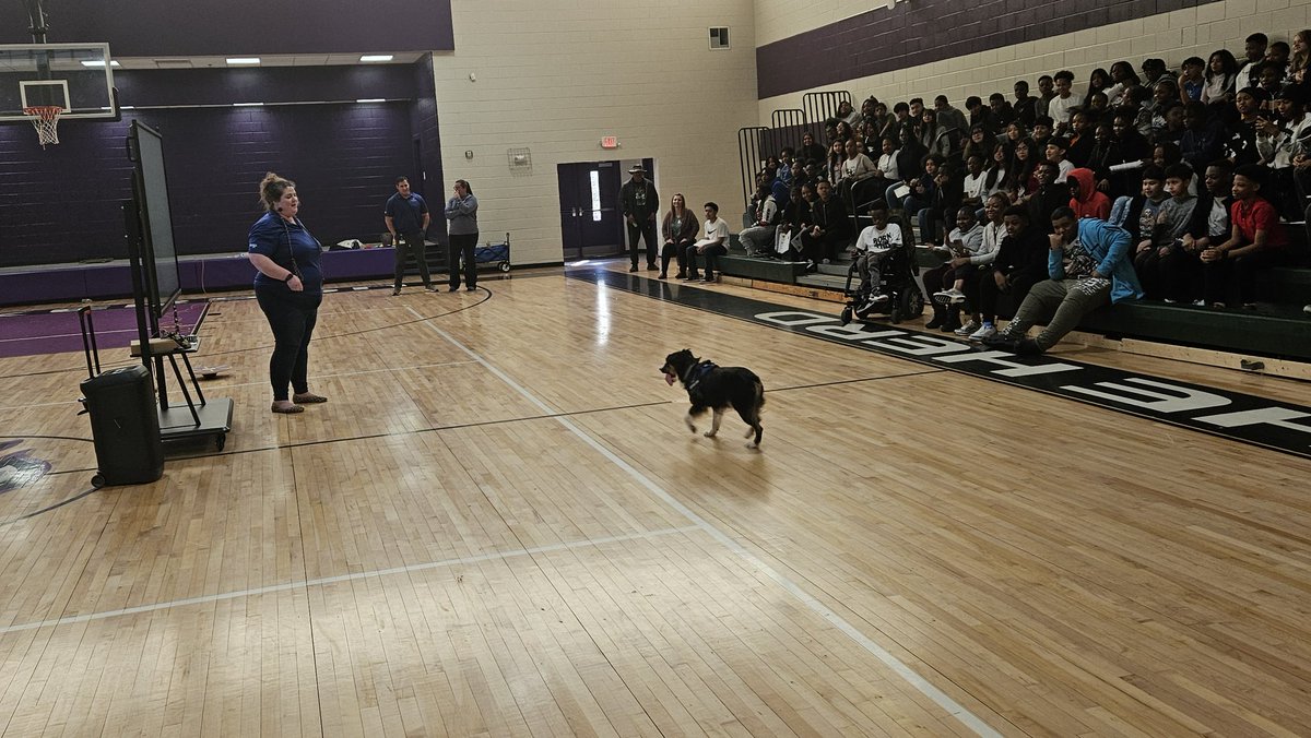 shuff13's tweet image. BCS students learn about the importance of service dogs for individuals with disabilities! Dogs can help keep individuals with disabilities independent and living healthy active lives. @BhamCitySchools @prwill1052 @NCHPAD @DrMarkSullivan