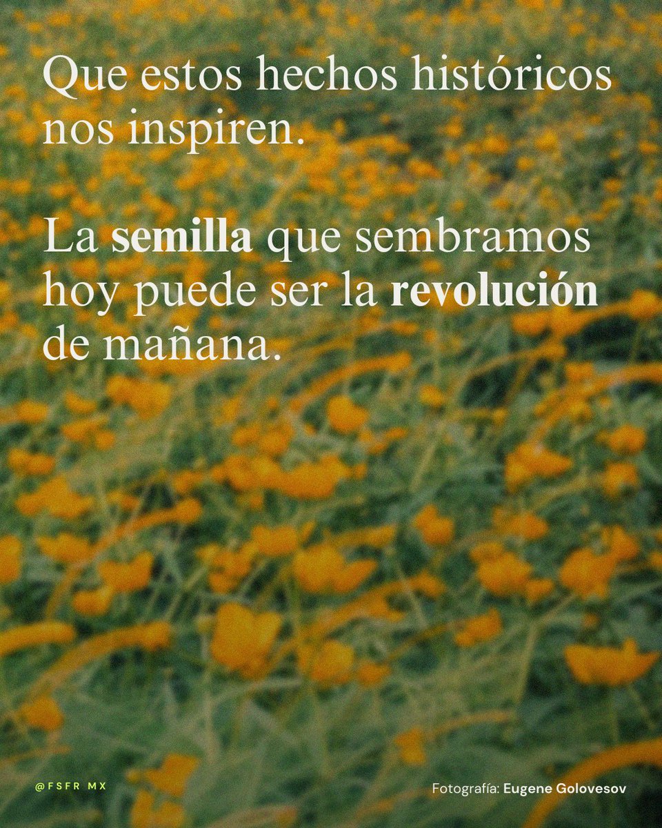 FSFRmx's tweet photo. https://t.co/PVOhBeTUEl