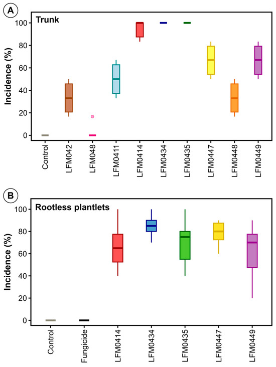 A New Root and Trunk Rot Disease of Grapevine Plantlets Caused by Fusarium in Four Species Complexes mdpi.com/3228446 #mdpijof via <a href="/JoF_MDPI/">Journal of Fungi MDPI</a>