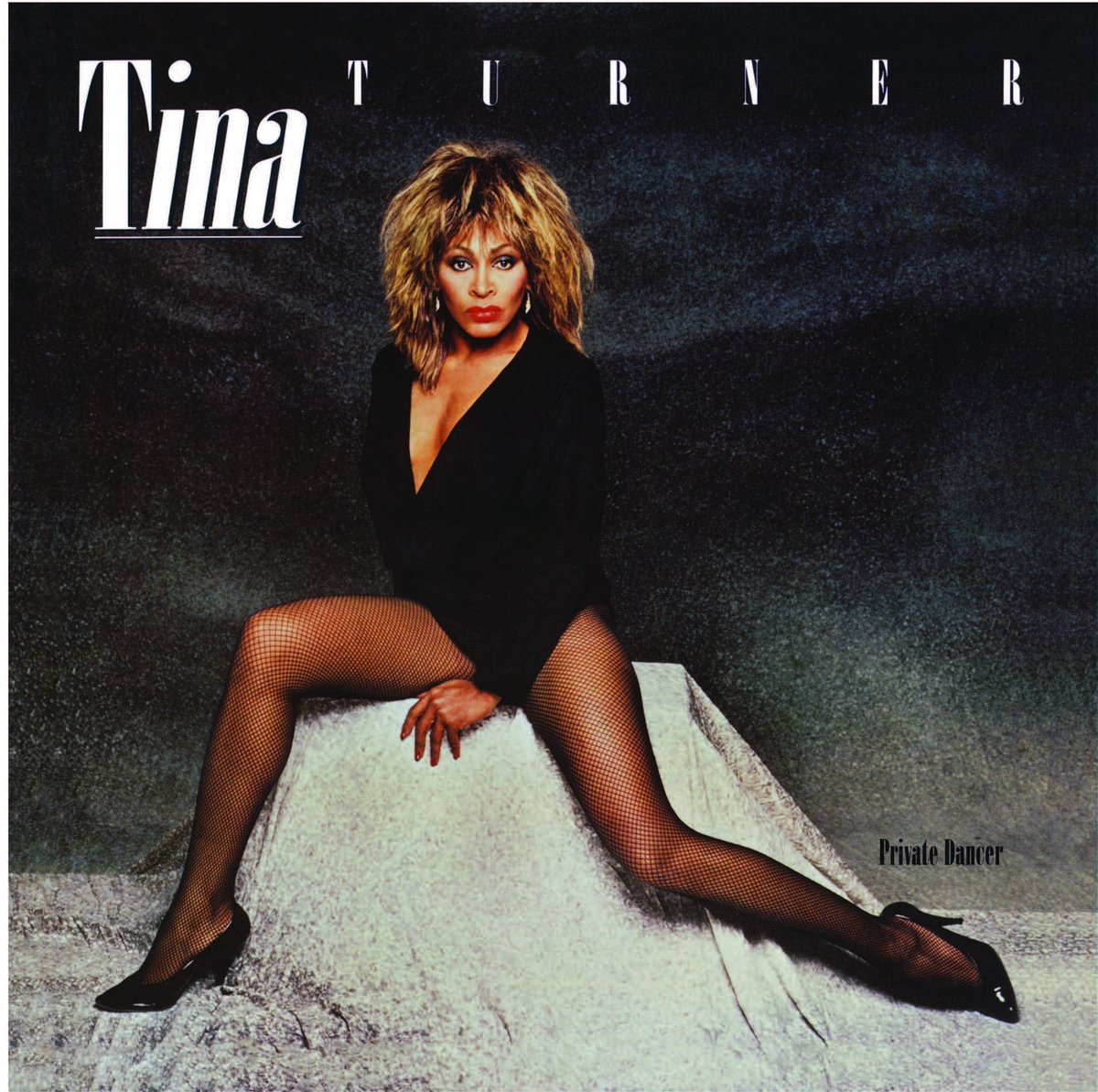 TinaTheMusical's tweet photo. Private Dancer, but make it #TinaTheMusical 💃🏾

Celebrating 40 years of Private Dancer we recreated @tinaturner's  iconic album cover. 

#TinaTheMuscial #PrivateDancer https://t.co/PbGRQY1BYS