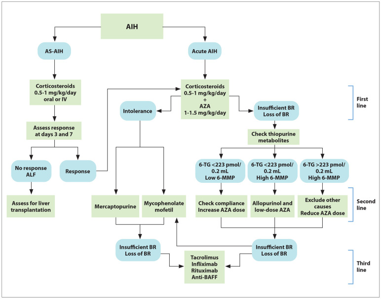 Evolution of Therapy in Autoimmune Hepatitis.

🔓pmc.ncbi.nlm.nih.gov/articles/PMC11…

#AIH #LiverTwitter #OpenAccess
