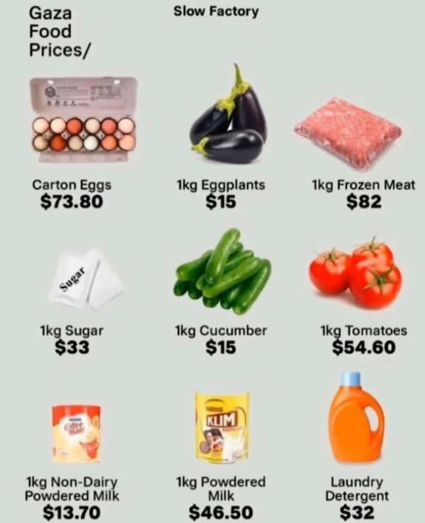 Have you ever considered donating to your family?
After the border crossings were closed, our lives became more expensive.
Here are the daily costs for our 9 family members:
Water: $9
Flower: $18
Canned meat and cheese: $40
Rent: $20
Dates: $9
Basic necessities like rice, sugar,