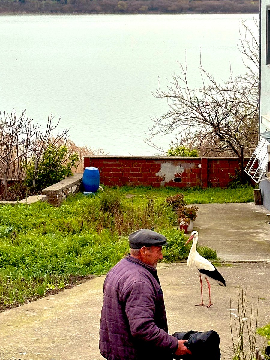 İhtiyar Balıkçı ve Yaren #YarenLeylek #karacabey