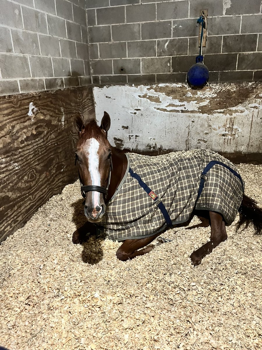 Resting up for her big day! #HerLaugh