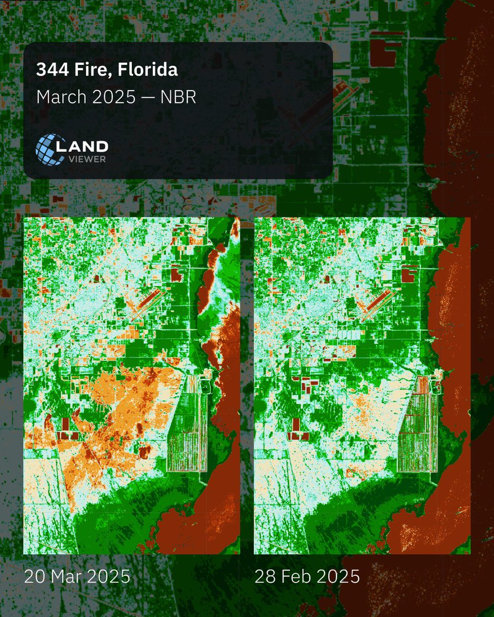 EOSDALandViewer's tweet photo. Severe wildfires are sweeping through #Florida. The #344Fire has left visible scars on the land. In EOSDA LandViewer, you can track its impact using satellite imagery and indices like #NDVI, #NBR, and #NaturalColor: https://t.co/HaXhq11ogv https://t.co/U2dKBOfEuV
