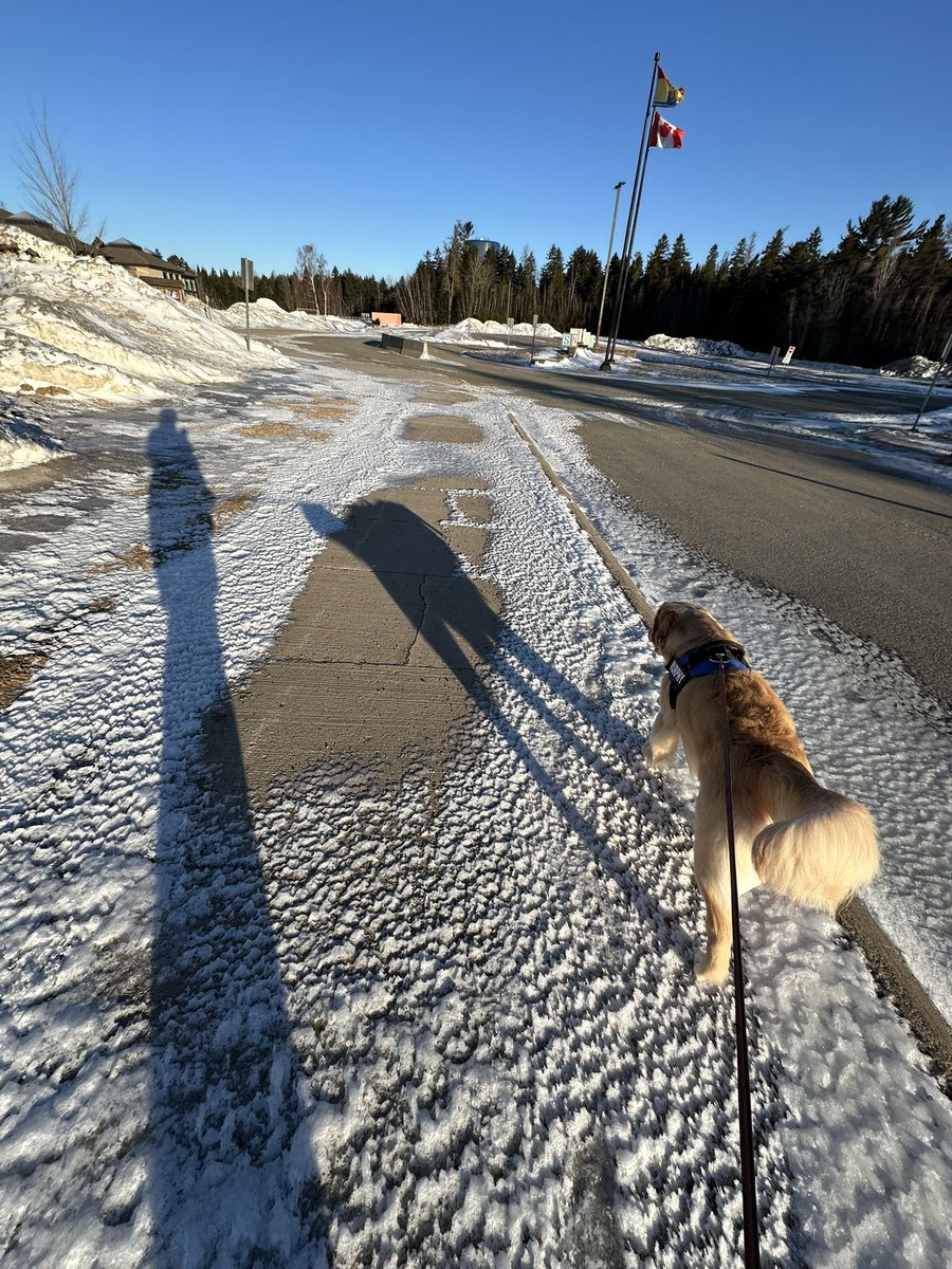 lynn2wine's tweet image. Perfect picture:
1. Eiffel Tower (mum)
2. Me (Star Wars Dune Walker)
3. 🇨🇦 Flag 
😉🤭 #RandomObjects