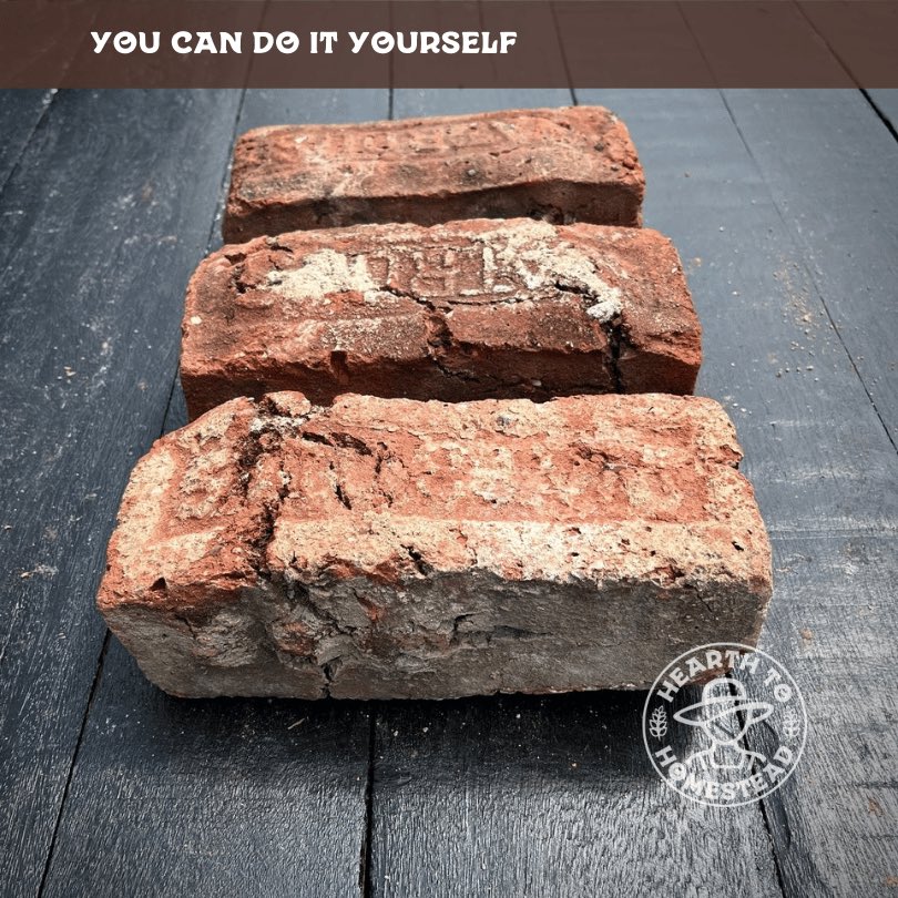 🧱 Brick Bookends: Paint and repurpose bricks as rustic bookends for your garden-themed library. #GardenInspired #HomeDecor #homesteading #homesteadingcanada #farming #farm #countryliving #gardening #homesteadliving #smallfarm #farmher #garden #farmstead #backyardhomestead