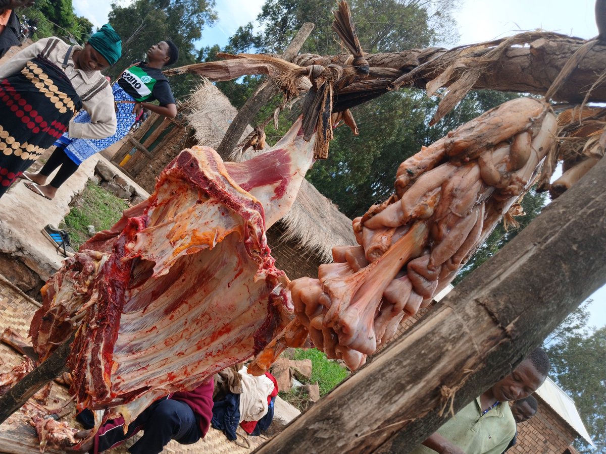 robertmgulunde1's tweet photo. Mnadani kidogo🔥 Nyama ya Ng'ombe na Mdudu Kilo 6000/= https://t.co/z7EAA6UHAV