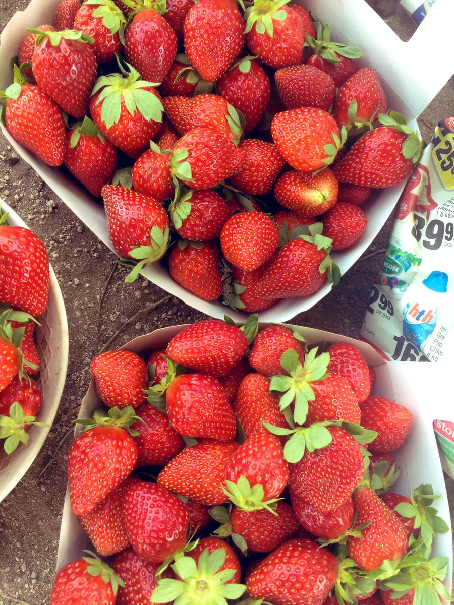 TontonVert's tweet image. #MarsèSamedi oubinaaaaa 🥳🥳🥳
Marchandise 
Prix 
Contact 

Aujourdhui je share 
@D_Fraises 704635813 
@IbraMiBusiness 
@hijab_forReal 

#BeugueJob