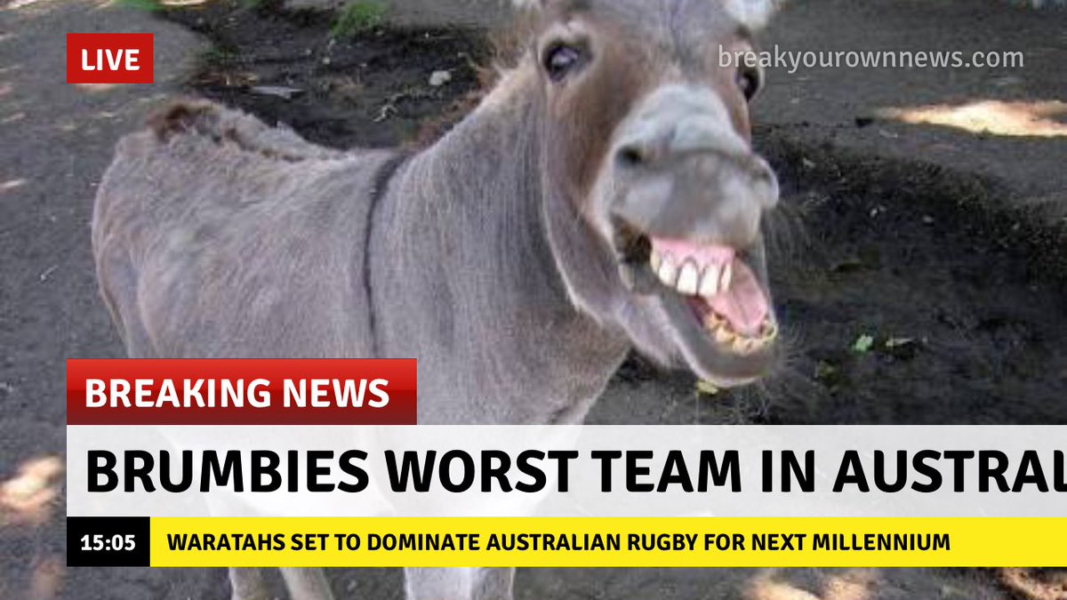 spinnigilberts's tweet image. #WARvBRU