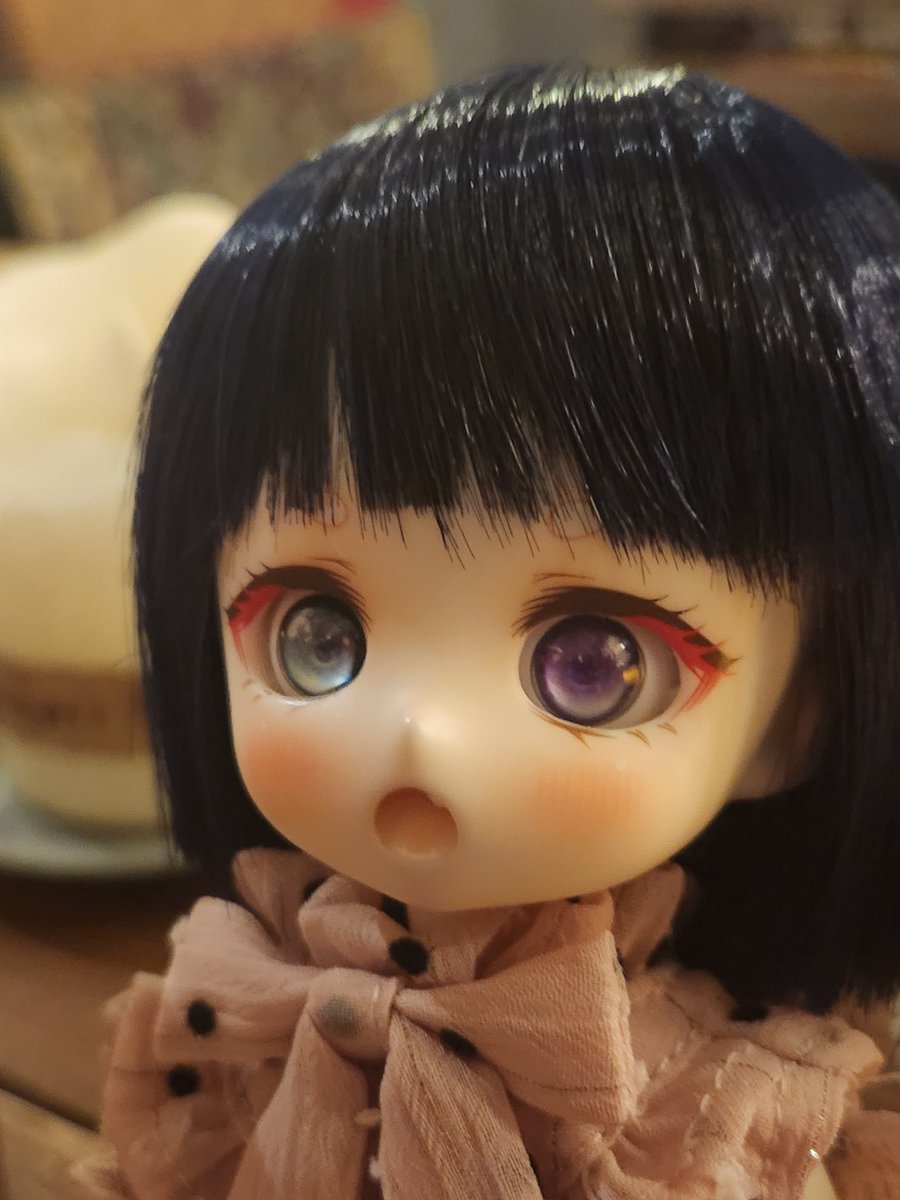 Fullmoon_0505's tweet photo. 姉📚と妹🍸

 #うちのこかわいい 
 #OBITSU26
 #TinyFox https://t.co/caLqiiuJsB