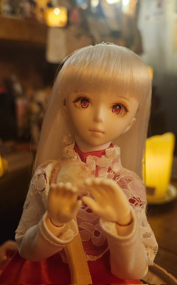 Fullmoon_0505's tweet photo. 姉📚と妹🍸

 #うちのこかわいい 
 #OBITSU26
 #TinyFox https://t.co/caLqiiuJsB