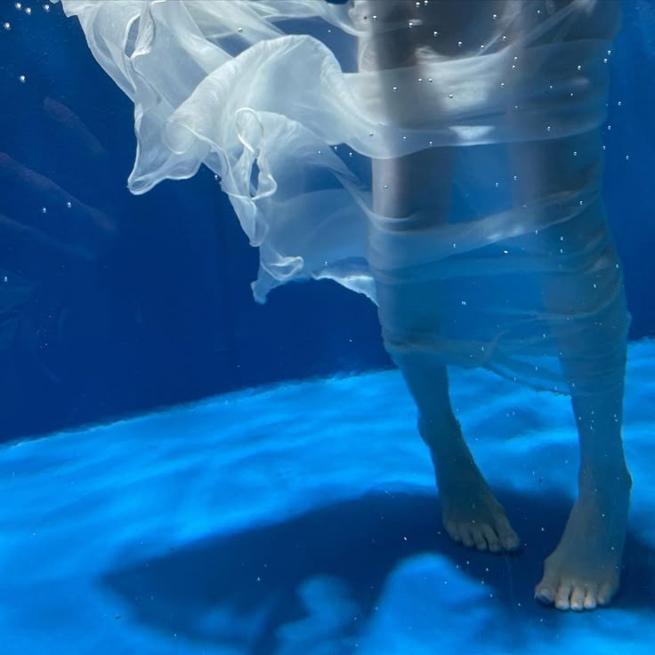 DUMPLINGXX96's tweet image. ⠀
⠀
               ┊ 𝓓𝒐𝒓𝒎-𝓝𝒂𝒏𝒈𝒓𝒂𝒊˚🧜🏻‍♀️🫧*

           𝗢𝗽𝗲𝗻 𝗔𝘂𝗱𝗶𝘁𝗶𝗼𝗻 : female only ִִֶָ
           𝙄 𝙨𝙝𝙞𝙣𝙚 like the 𝙨𝙚𝙖 🌊
      ⠀  pls dm 💌 @dormnangrai_        ⠀            
      ⠀  #𝒅𝒐𝒓𝒎𝒏𝒂𝒏𝒈𝒓𝒂𝒊𝒙 🪼
⠀⠀