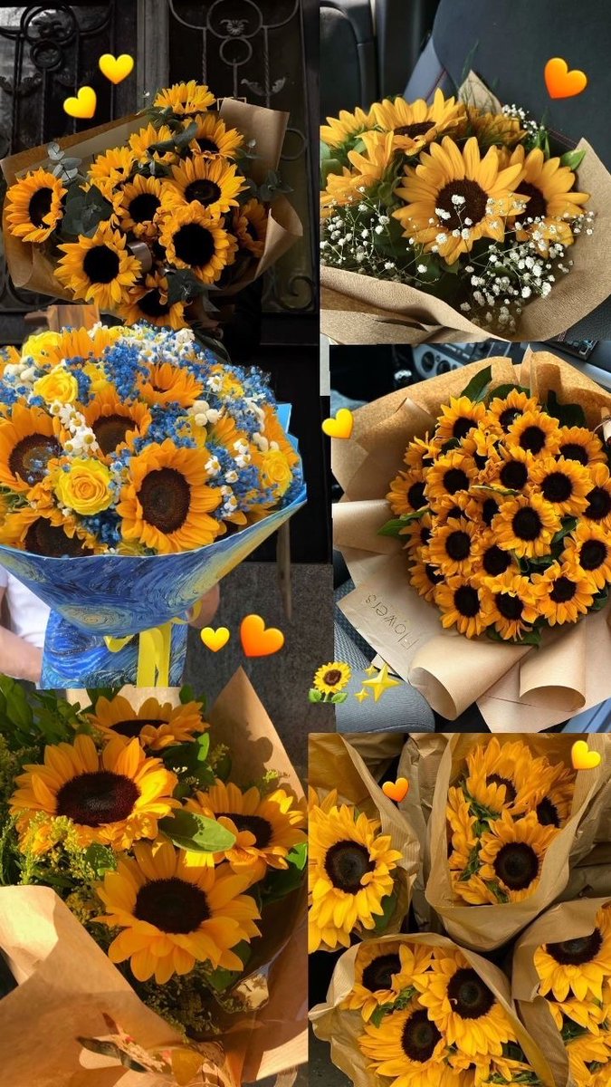 sunflowerchives tweet picture