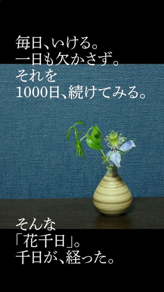 IMAI So-sen/R tweet media