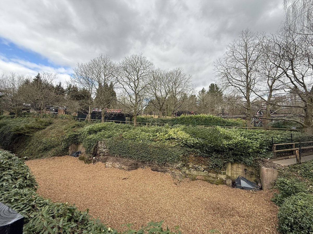 TowersStreet tweet media