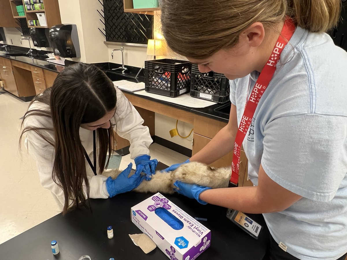 Lindsey Haley (@lindseyhaley2) on Twitter photo Took a break from studying for certifications to practice basic veterinary skills on FUN FRIDAY! They love when I take candid shots 🤣 <a href="/LamarCISDCTE/">Lamar CISD CTE</a> <a href="/pinkpatterson/">Heather Patterson</a> #wearegr #buildingGReatness Took a break from studying for certifications to practice basic veterinary skills on FUN FRIDAY! They love when I take candid shots 🤣 <a href="/LamarCISDCTE/">Lamar CISD CTE</a> <a href="/pinkpatterson/">Heather Patterson</a> #wearegr #buildingGReatness