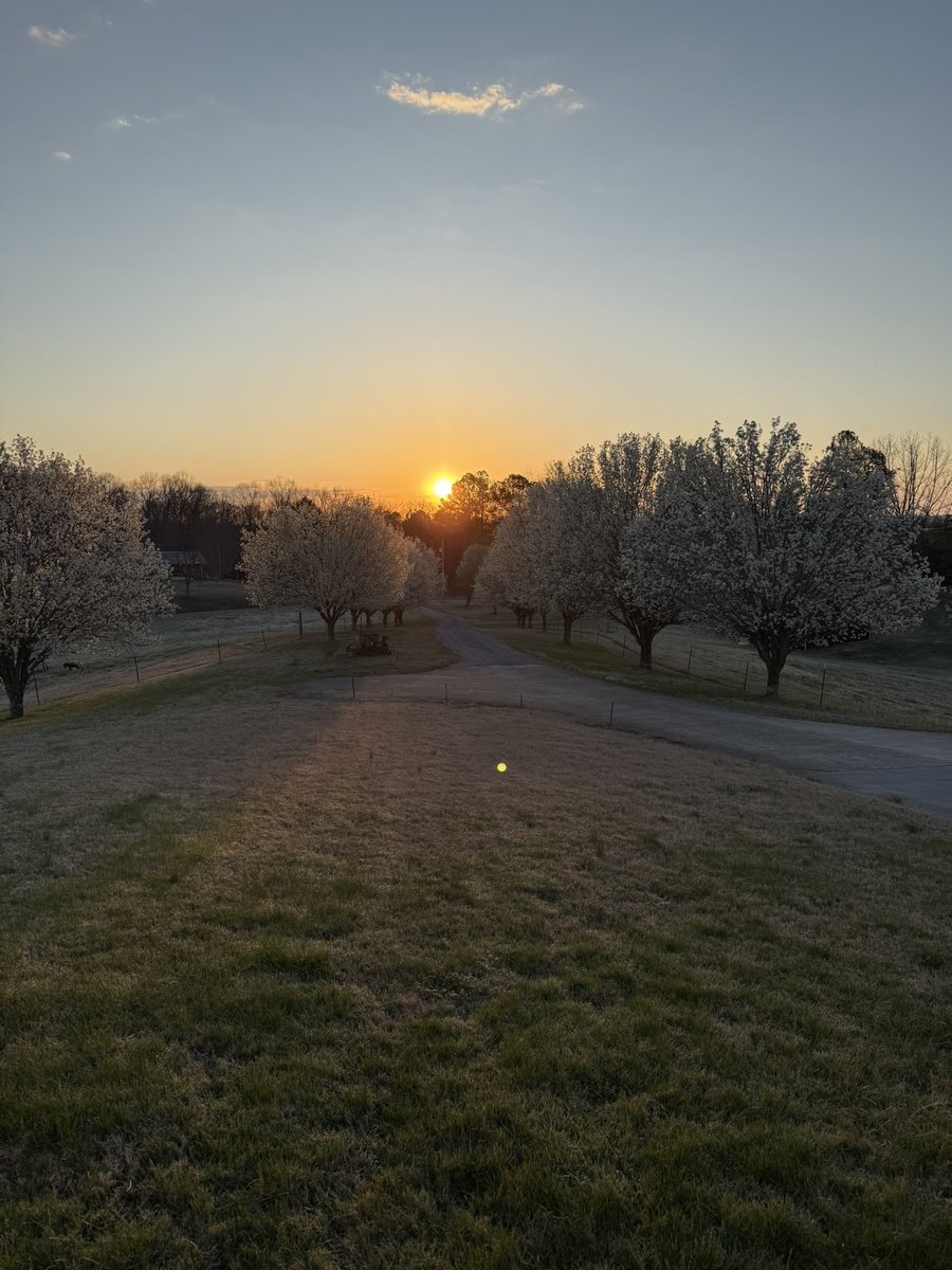Sunrise in Northern Greene County