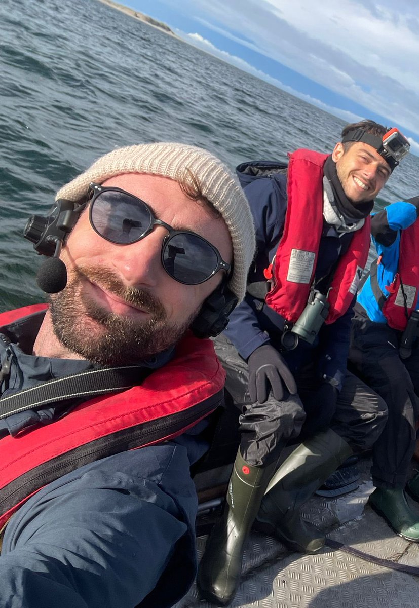 renapoly_93's tweet image. #internationalsealsday also means awareness.
Entanglements
2023: 38
2024: 78
Pollution in the sea increases, and
Together with A-Seal and Ecomare we created the #SealResponseTeam, where we go to the sea and look for animals to disentangle.
#アザラシ幼稚園
Questions? Ask out!