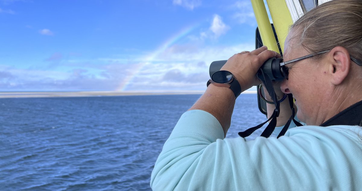 renapoly_93's tweet image. #internationalsealsday also means awareness.
Entanglements
2023: 38
2024: 78
Pollution in the sea increases, and
Together with A-Seal and Ecomare we created the #SealResponseTeam, where we go to the sea and look for animals to disentangle.
#アザラシ幼稚園
Questions? Ask out!