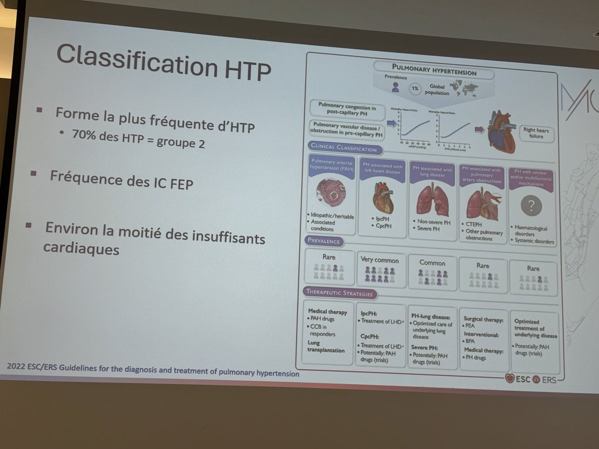 SABOURETCardio's tweet photo. #MonacoMedicalCourse #PAH by Pr Moceri https://t.co/krDpE7DqAs
