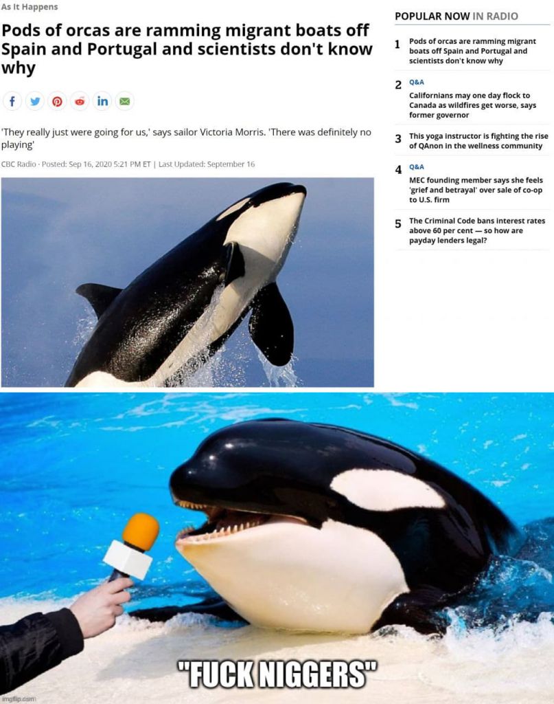 frogNscorpion's tweet image. 