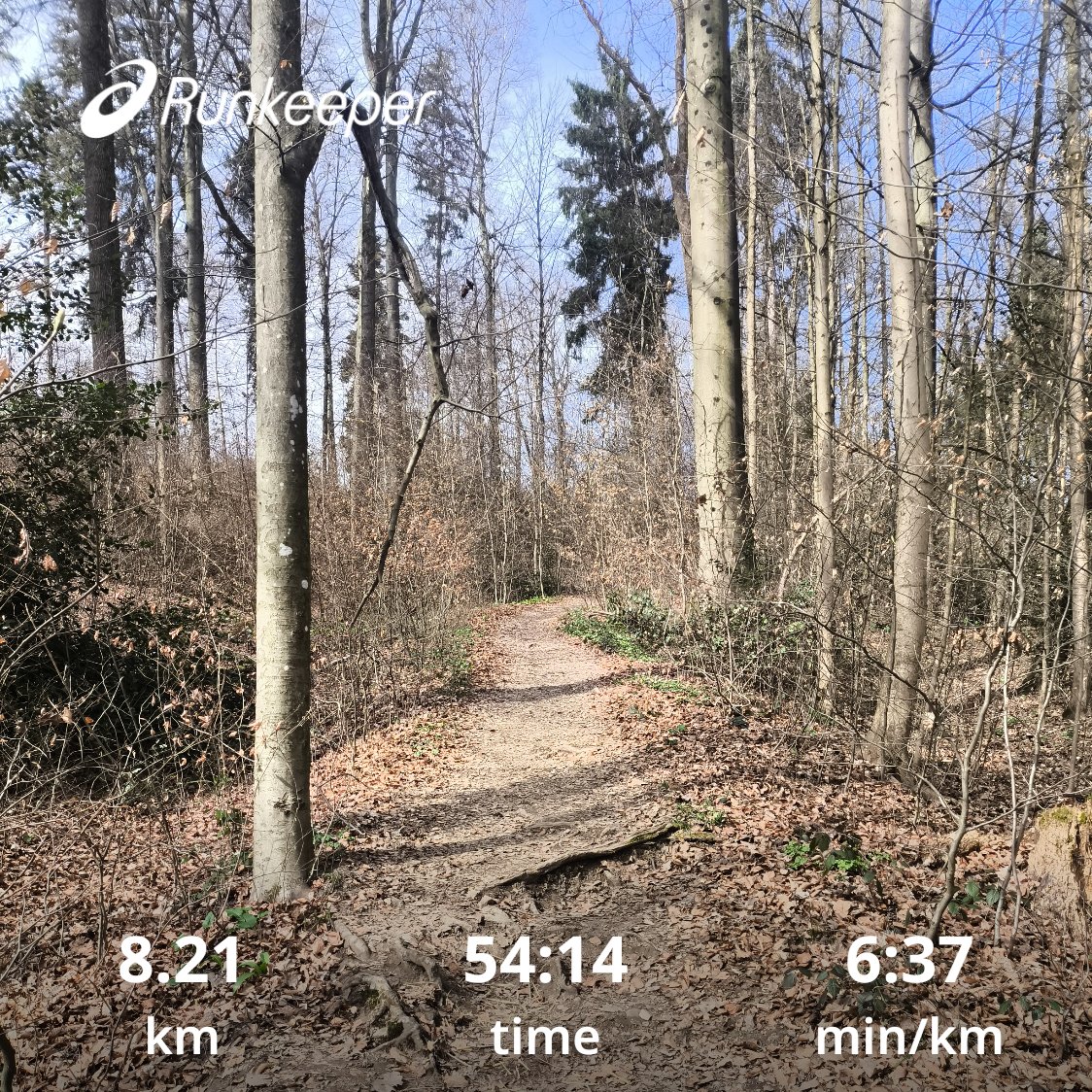 zureich37's tweet photo. Late morning run🌲🏃🌳.
Finding new trails.
Birds are feeling the spring ... so much singing in the forest 🦅🐦🦉.
Heard a woodpecker too. 
#running #runchat #marathontraining #nature #forestrun #spring https://t.co/Tcbq2LRjHJ