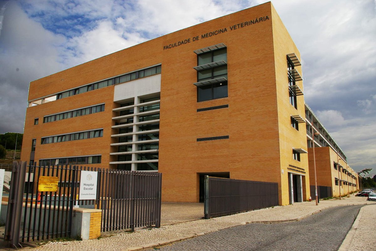 Save the Date!

EWEN 2026 - ​New challenges in Equine Nutrition

The 14th to the 17th of July 2026

EWEN is coming to Portugal in 2026. The Faculty of Veterinary Medicine (University of Lisbon), in Lisbon, Portugal will be the host.