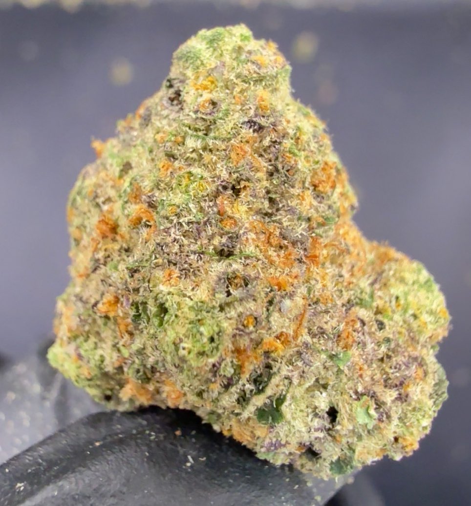medical_dee's tweet photo. Dream Factory  10g 600฿🔥
Indica
Thc27%
‼️Dm here📩https://t.co/noAAqPR5l2💚

Ems✅

#กัญชารังสิต #weed #Weedshop #กัญชา #กัญชาเสรี #กัญชากทม #กัญชากรุงเทพ #กัญชาออแกนิค #กัญชาลาดพร้าว
#กั���ชาส่งด่วน  #พอดกัญชา #กัญชานนทบุรี 
#Crypto #weedsmokers

Cannabis shop
Weed Delivery https://t.co/StBabcwBqC