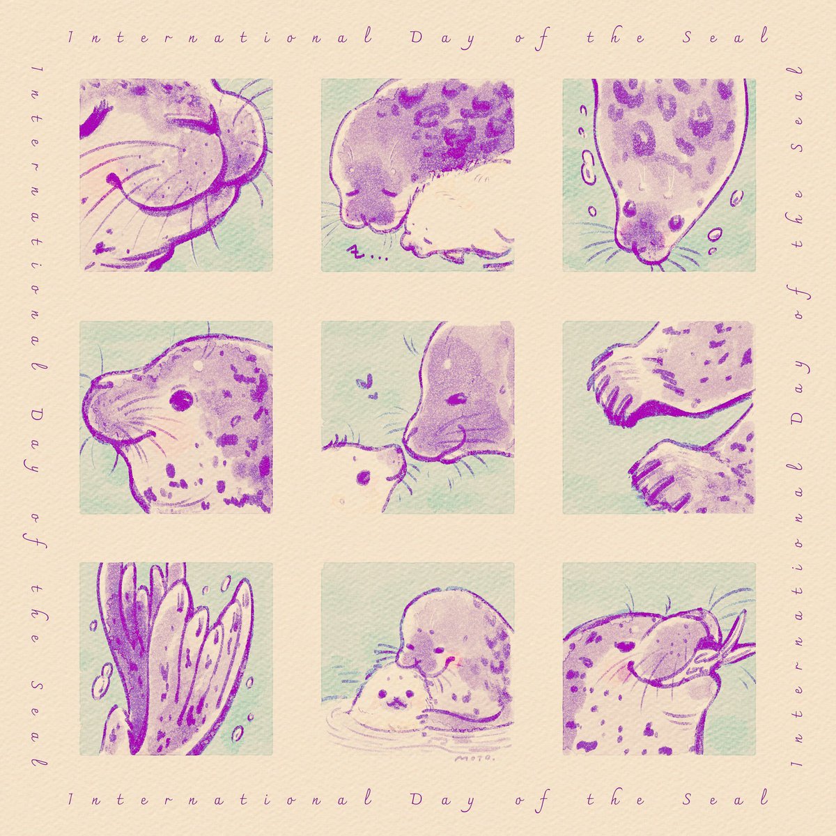 mt___note's tweet photo. 🦭🦭国際アザラシの日🦭🦭
🦭International day of the Seal🦭 https://t.co/9HjfDzysSr
