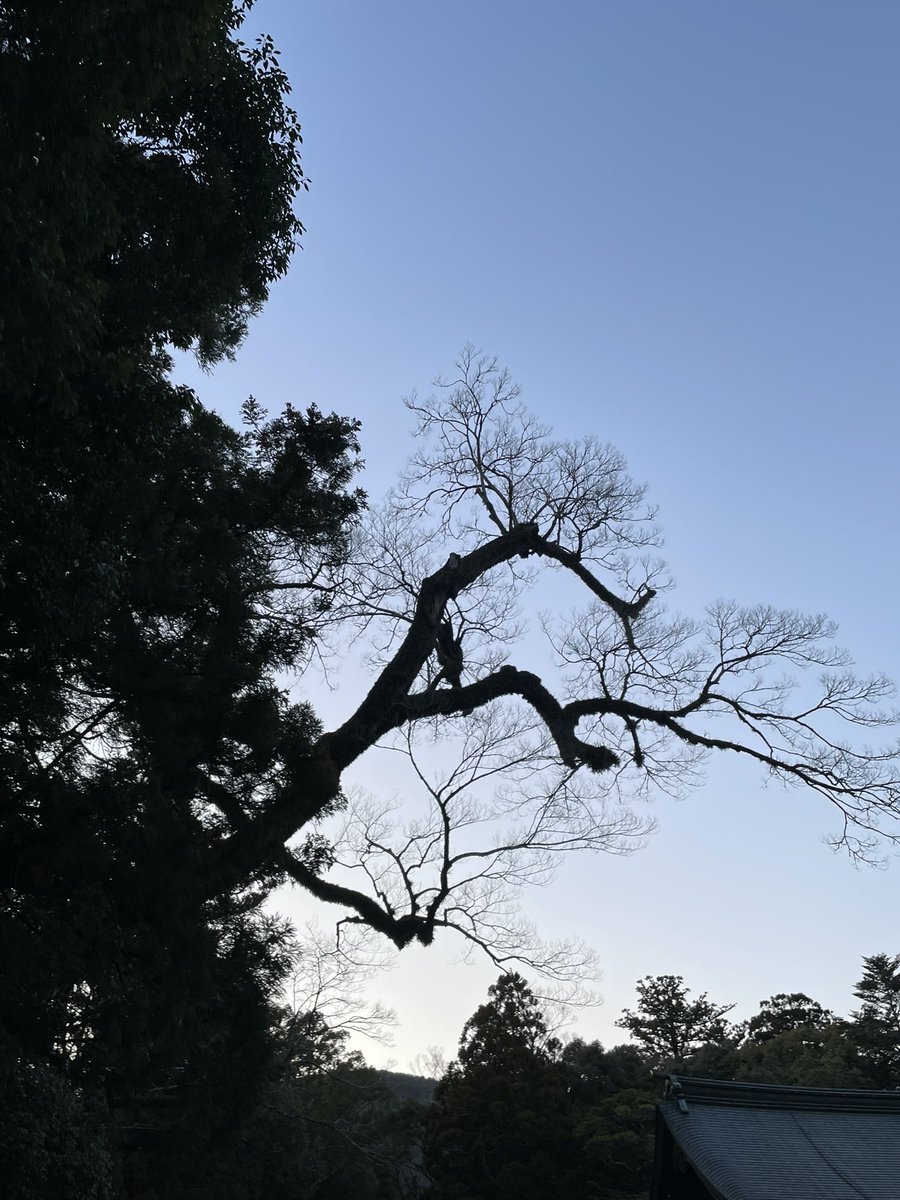 ogi_design's tweet photo. お伊勢さんにちゃんと行くのは10年ぶりくらい。
春分の18:01には背骨がビリビリしてたけど
すっと身体に馴染んでいったかな
娘と一緒にいったけどリトリート倶楽部の皆さまが本当に良くしてくれて、なにより娘もなんだかんだついてきてくれて本当に助かりました🙏💖
もっと表にでます💗🌱 https://t.co/vSd3KkPvGR