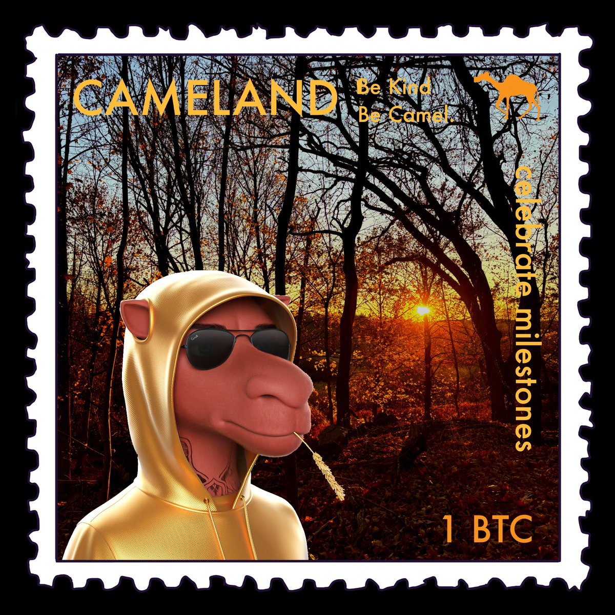 Cryptodaave's tweet photo. @mobymaybe @ritchiesacra Happy #FlexArt Weekend Moby, have a great day #CamelsFam ๐ซ๐ https://t.co/JXwBnHKaPf