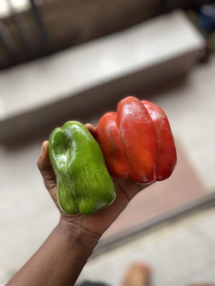 Fun_Sized069's tweet image. Just got back from the market. Got the red pepper 2500 and the green pepper 1500. These used to be 500 and 1000 then someone will now come and say things are not that bad/don’t live above your means. No be ment be that? #30DaysRantChallenge